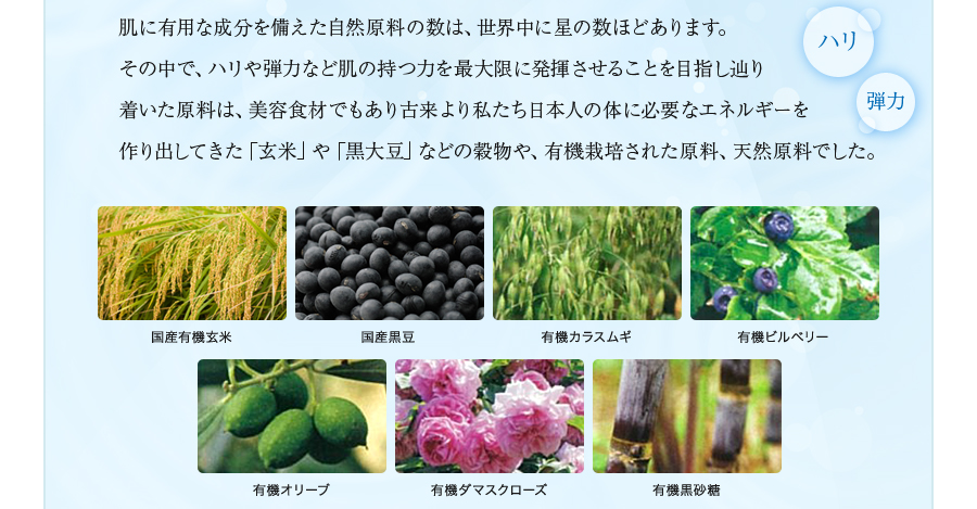 肌に有用な成分を備えた自然原料の数は、世界中に星の数ほどあります。その中で、ハリや弾力など肌の持つ力を最大限に発揮させることを目指し辿り着いた原料は、美容食材でもあり古来より私たち日本人の体に必要なエネルギーを作り出してきた「玄米」や「黒大豆」などの穀物や、有機栽培された原料、天然原料でした。